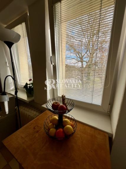 2-izb.byt na Parkovom nábreží, parkovanie