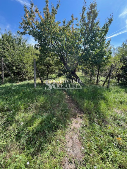 3-izb.dom Veľký Lapáš, 2750 m2 pozemok, IS: el.voda, plyn