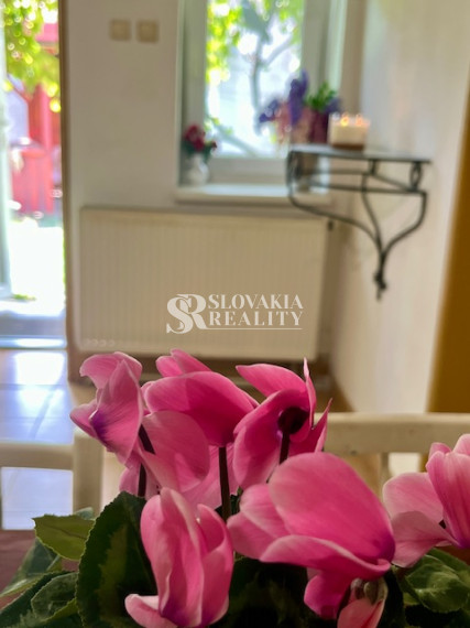 3-izb.dom Veľký Lapáš, 2750 m2 pozemok, IS: el.voda, plyn