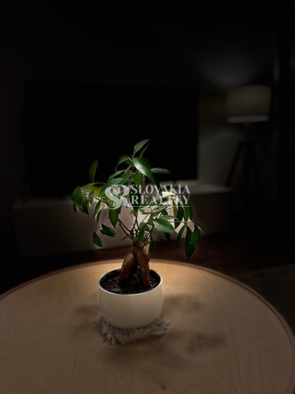 3-izb.zrekonštruovaný, zariadený byt, Zvolenská ul., loggia