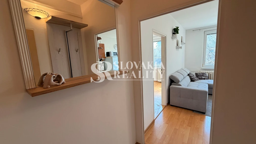 Prenájom 1-izbového bytu na Brezovej ulici, Chrenová