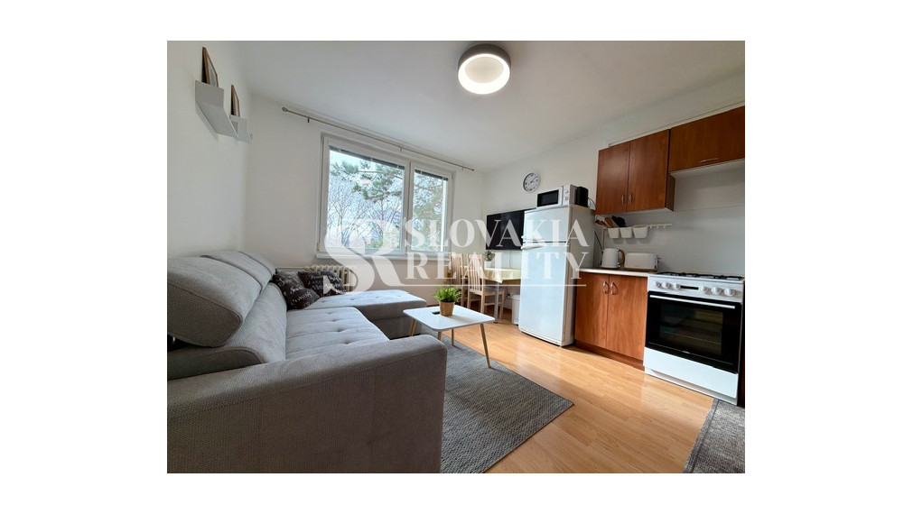 Prenájom 1-izbového bytu na Brezovej ulici, Chrenová