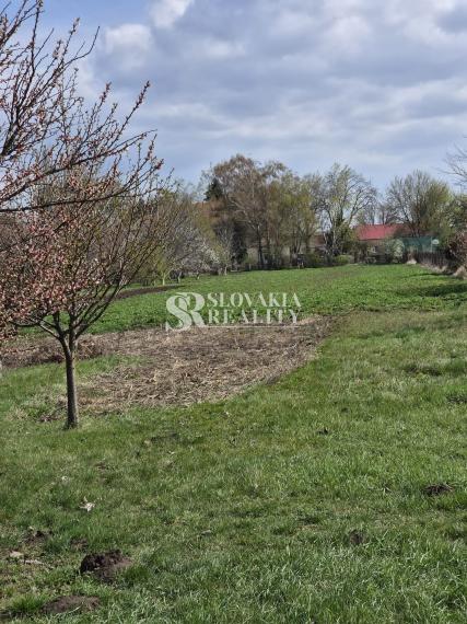 Rodinný dom na predaj s 33 árovým pozemkom