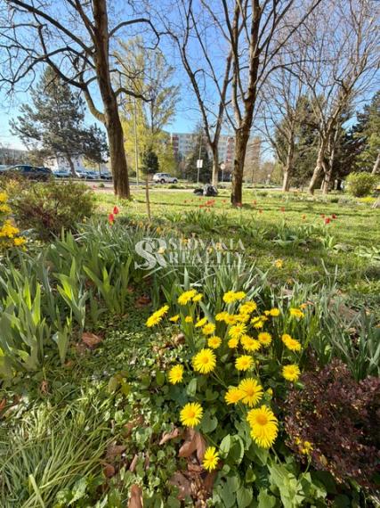 1-izbový byt s výbornou polohou na Výstavej ul. - Chrenová