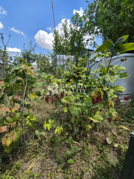 REZERVOVANÉ!!! Záhrada Horné Krškany – 370 m² VÝBORNÁ CENA