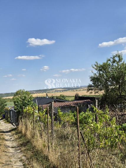 Slnečný pozemok 748 m²- vinohrad, vínna pivnica a chatka