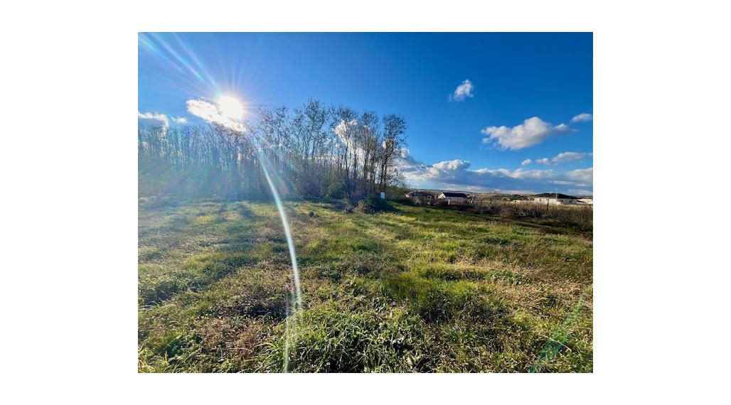 Pozemok v záhradkarskej oblasti, Párovské Háje, 500m2