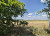 Investičný pozemok 731 m2 Nová Chrenová - fotografia 5