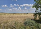 Investičný pozemok 731 m2 Nová Chrenová - fotografia 8