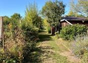 ZÁHRADKA S CHATKOU, suchým WC, kôlničkou, Krškany, 369 m² - fotografia 6