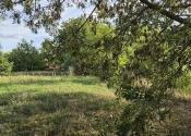 Veľký stavebný pozemok 1 433 m² alebo 1 618 m² Svätoplukovo - fotografia 8