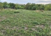Veľký stavebný pozemok 1 433 m² alebo 1 618 m² Svätoplukovo - fotografia 9