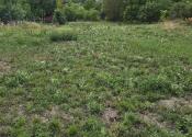Veľký stavebný pozemok 1 433 m² alebo 1 618 m² Svätoplukovo - fotografia 3