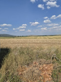 Investičný pozemok 731 m2 Nová Chrenová - fotografia 7