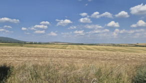 Investičný pozemok 731 m2 Nová Chrenová - fotografia 6