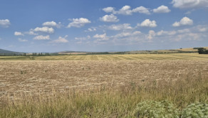 Investičný pozemok 731 m2 Nová Chrenová - fotografia 9