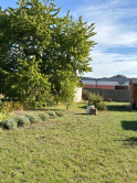 ZÁHRADKA S CHATKOU, suchým WC, kôlničkou, Krškany, 369 m² - fotografia 16