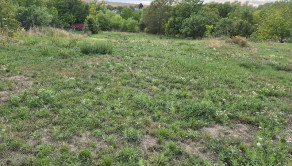 Veľký stavebný pozemok 1 433 m² alebo 1 618 m² Svätoplukovo - fotografia 9