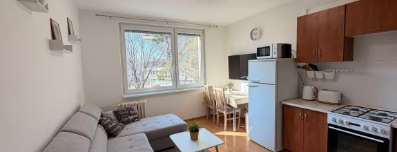 Prenájom 1-izbového bytu na Brezovej ulici, Chrenová