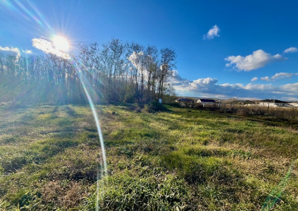 Pozemok v záhradkarskej oblasti, Párovské Háje, 500m2