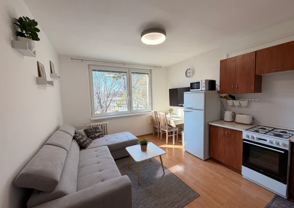 Prenájom 1-izbového bytu na Brezovej ulici, Chrenová