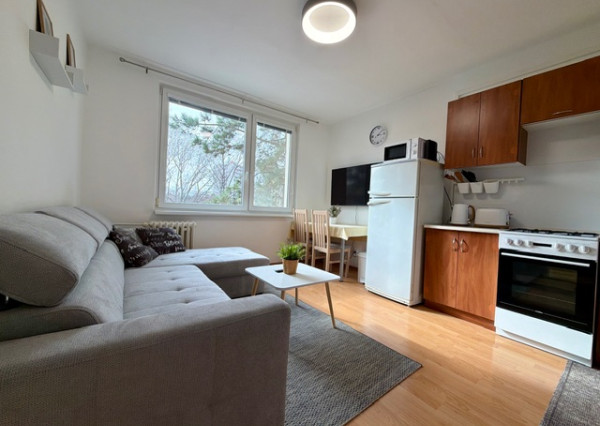 Prenájom 1-izbového bytu na Brezovej ulici, Chrenová