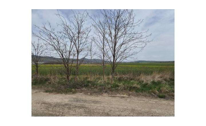 Investičný pozemok 731 m2 Nová Chrenová - fotografia 9