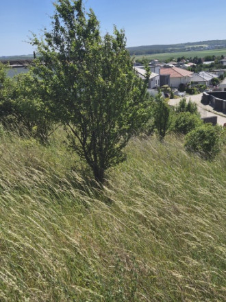 Stavebný pozemok s panoramatickým výhľadom na Zobor 1 686 m² - fotografia 6