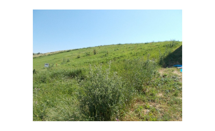 Stavebný pozemok s panoramatickým výhľadom na Zobor 1 686 m² - fotografia 9