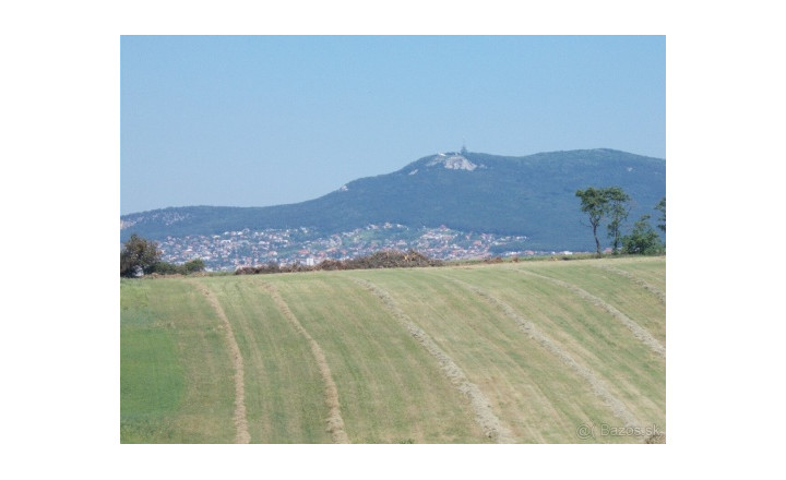 Stavebný pozemok s panoramatickým výhľadom na Zobor 1 686 m² - fotografia 17