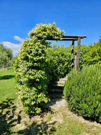 Vila Taliansko Teramo, 1ha pozemok, virivka, príroda, more - fotografia 3