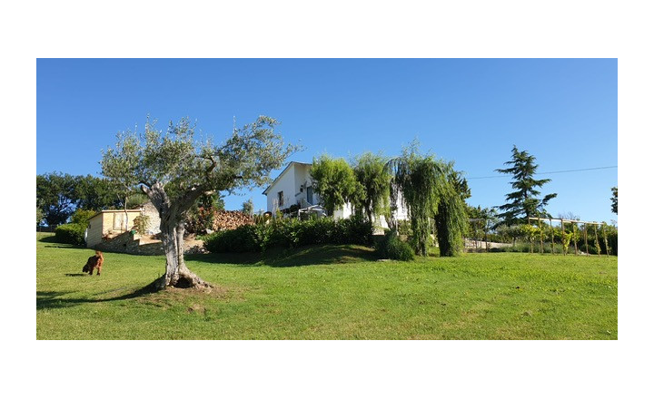 Vila Taliansko Teramo, 1ha pozemok, virivka, príroda, more - fotografia 5
