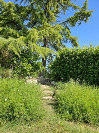 Vila Taliansko Teramo, 1ha pozemok, virivka, príroda, more - fotografia 10