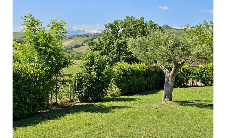 Vila Taliansko Teramo, 1ha pozemok, virivka, príroda, more - fotografia 9