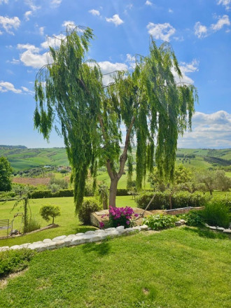 Vila Taliansko Teramo, 1ha pozemok, virivka, príroda, more - fotografia 11