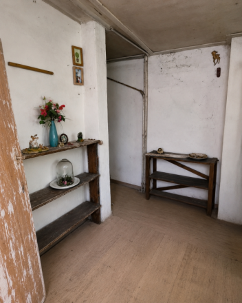 Slnečný pozemok 748 m²- vinohrad, vínna pivnica a chatka - fotografia 8