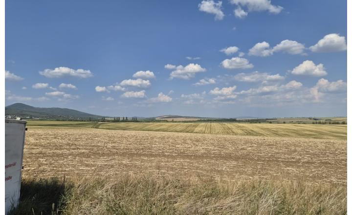 Investičný pozemok 731 m2 Nová Chrenová - fotografia 2