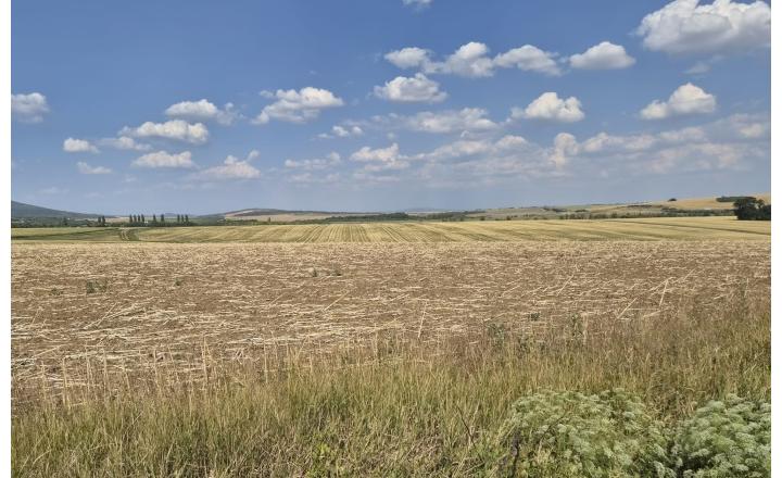 Investičný pozemok 731 m2 Nová Chrenová - fotografia 8