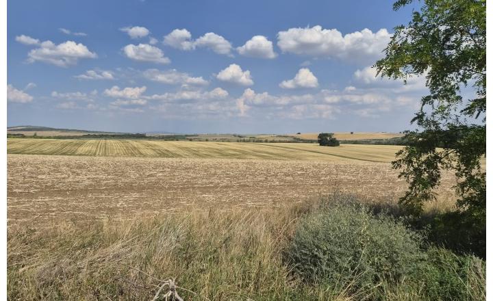 Investičný pozemok 731 m2 Nová Chrenová - fotografia 7