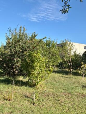 ZÁHRADKA S CHATKOU, suchým WC, kôlničkou, Krškany, 369 m² - fotografia 16