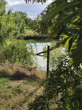 Veľký stavebný pozemok 1 433 m² alebo 1 618 m² Svätoplukovo - fotografia 6