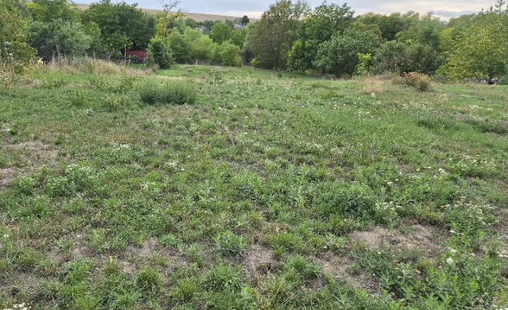 Veľký stavebný pozemok 1 433 m² alebo 1 618 m² Svätoplukovo - fotografia 8