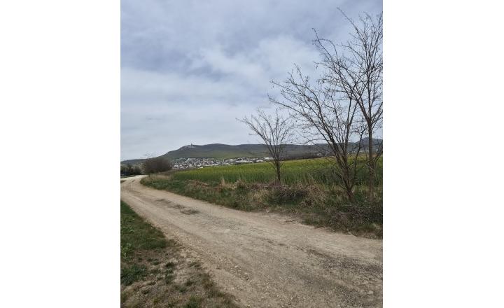 Investičný pozemok 731 m2 Nová Chrenová - fotografia 11
